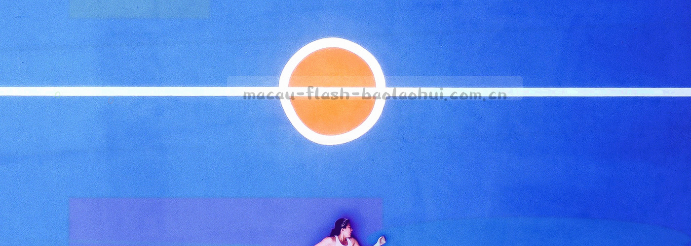 一排编号票根沿横向依次排开，票面印着版本号与条目类型